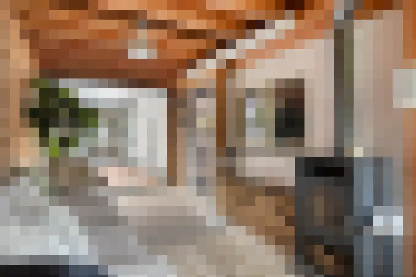 Tulpstraat 26 Tiel thumbnail 23
