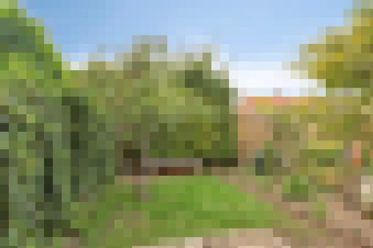 Tulpstraat 26 Tiel thumbnail 26