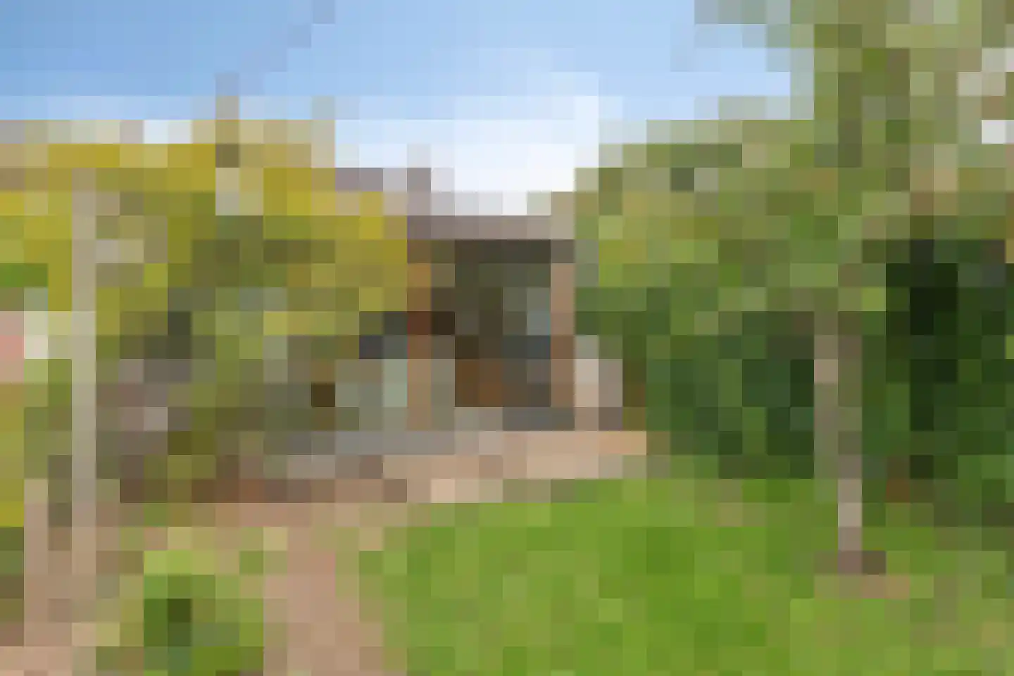 Tulpstraat 26 Tiel thumbnail 27