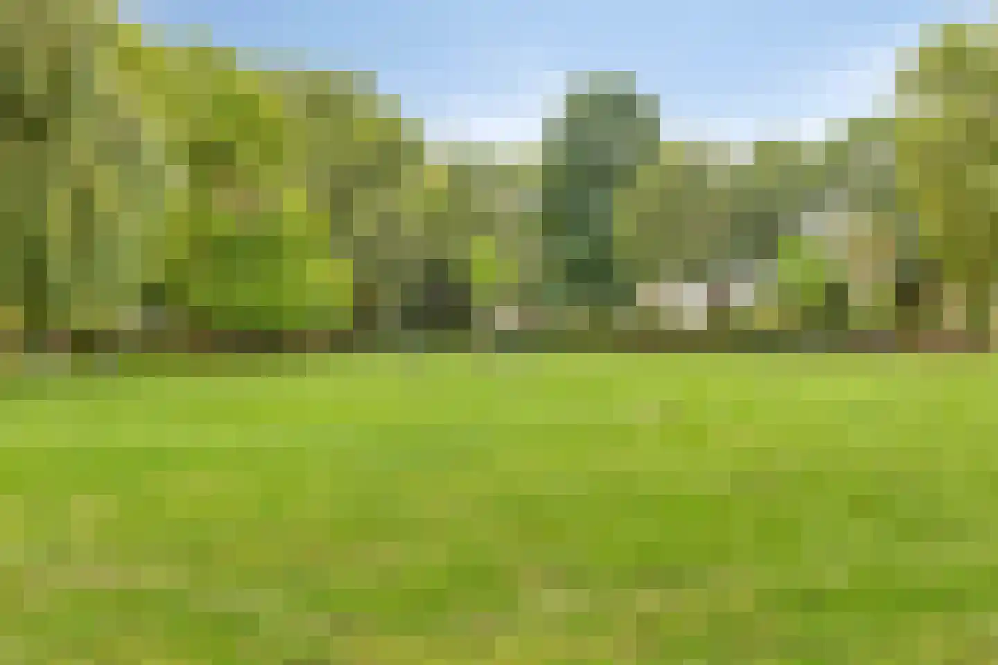Tulpstraat 26 Tiel thumbnail 30
