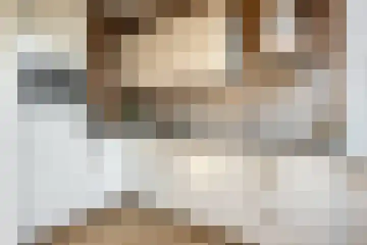 Tulpstraat 26 Woerden thumbnail 5