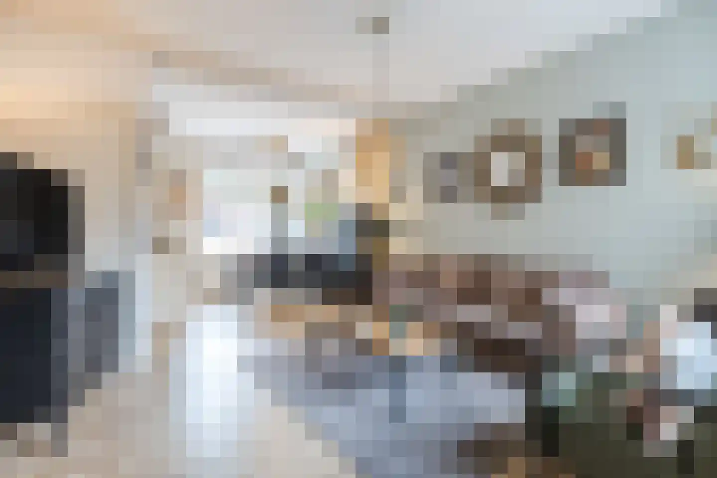 Tulpstraat 27 Culemborg thumbnail 13