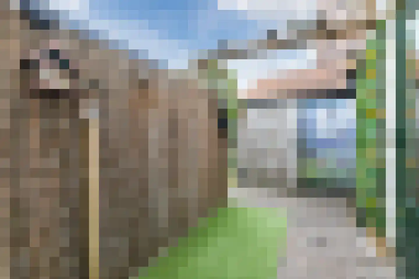 Tulpstraat 27 Culemborg thumbnail 45