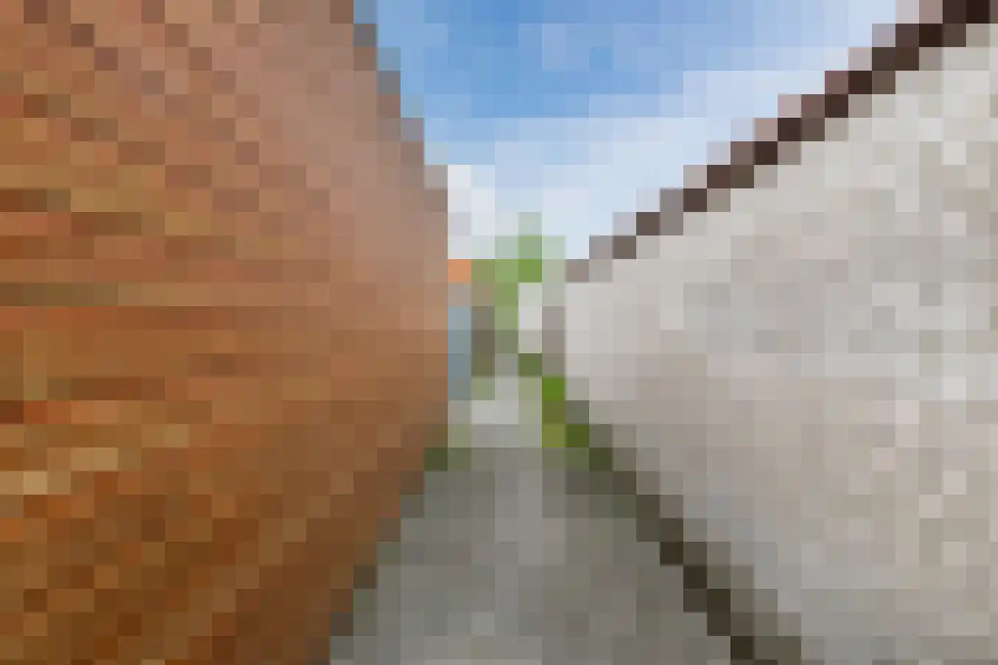 Tulpstraat 27 Culemborg thumbnail 50