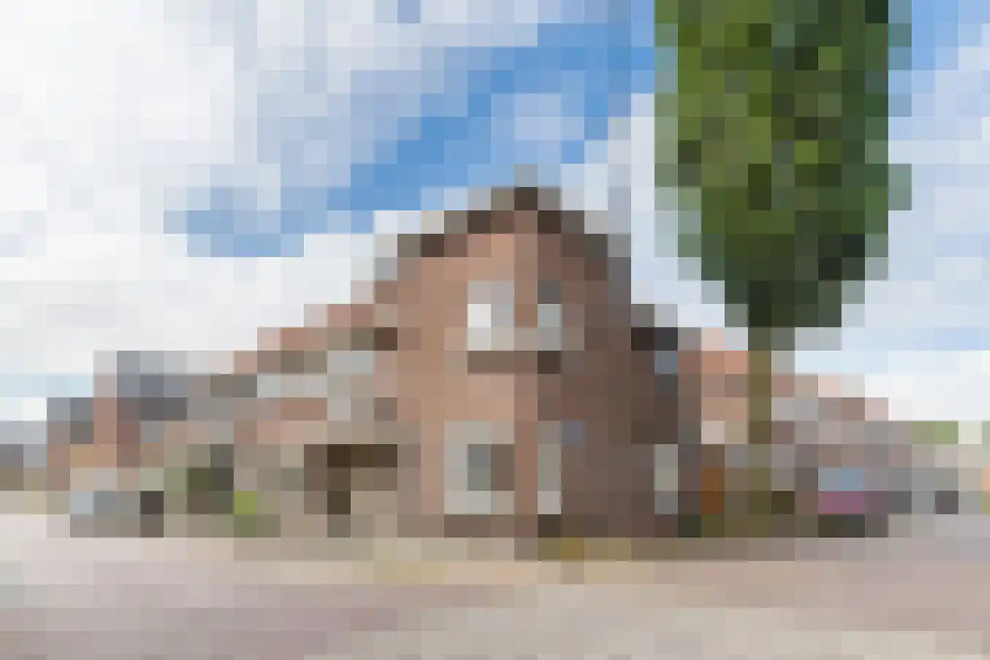 Tulpstraat 27 Culemborg thumbnail 53