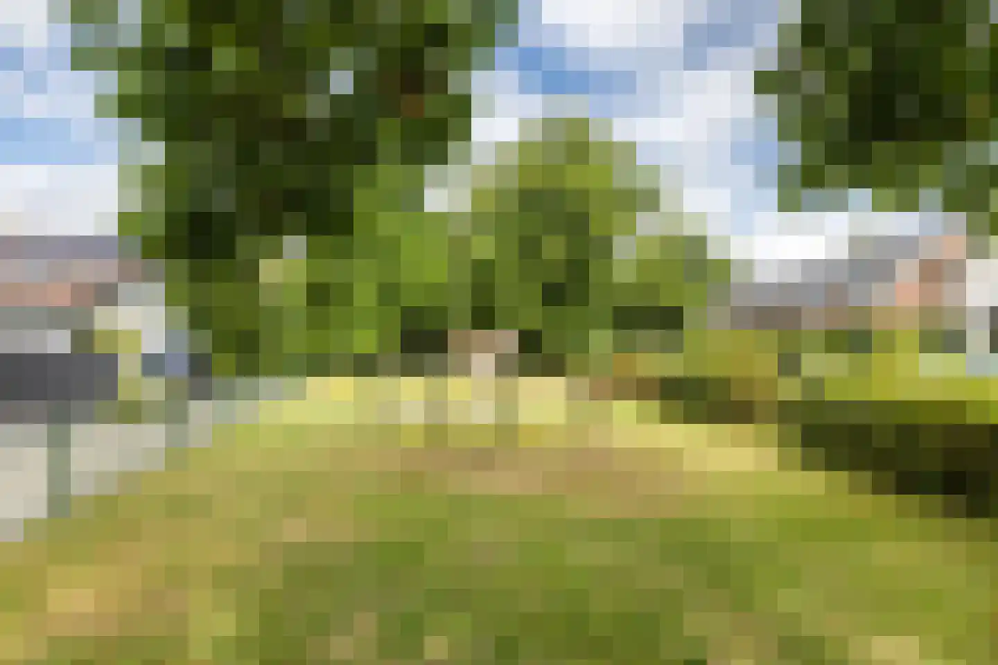 Tulpstraat 27 Culemborg thumbnail 54