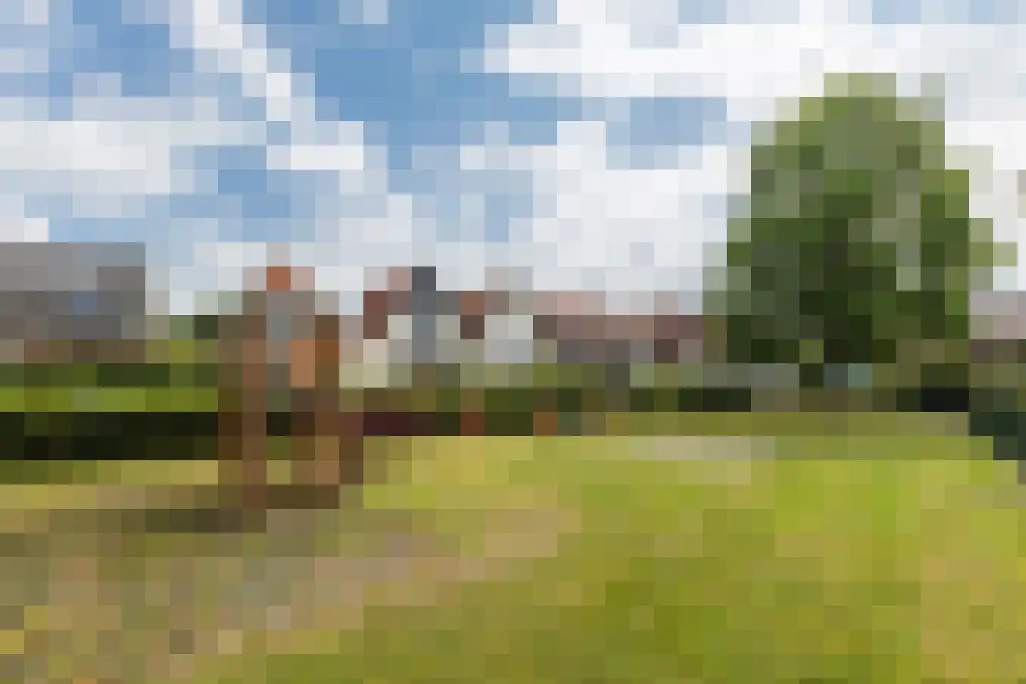 Tulpstraat 27 Culemborg thumbnail 55