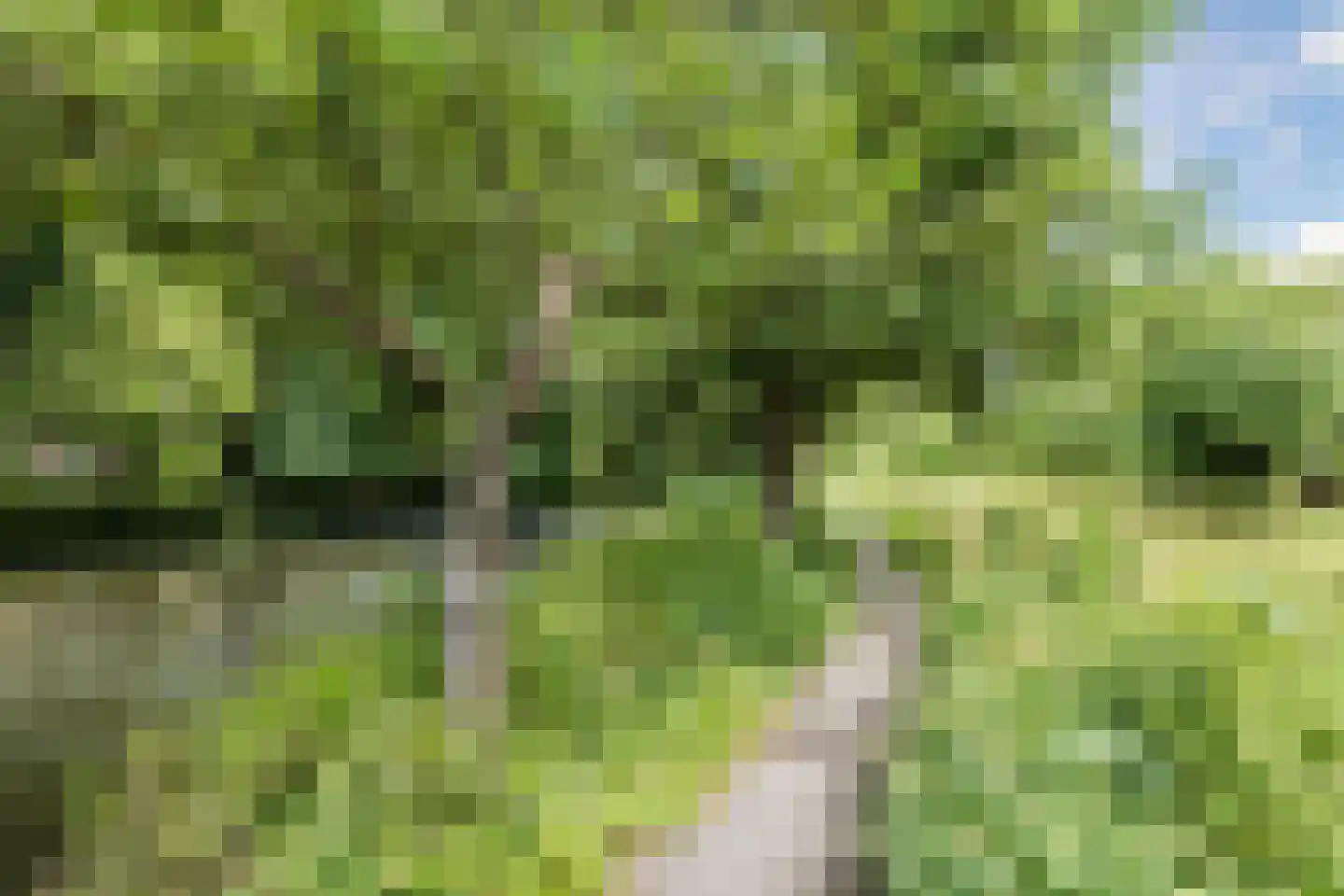Tulpstraat 27 Culemborg thumbnail 58