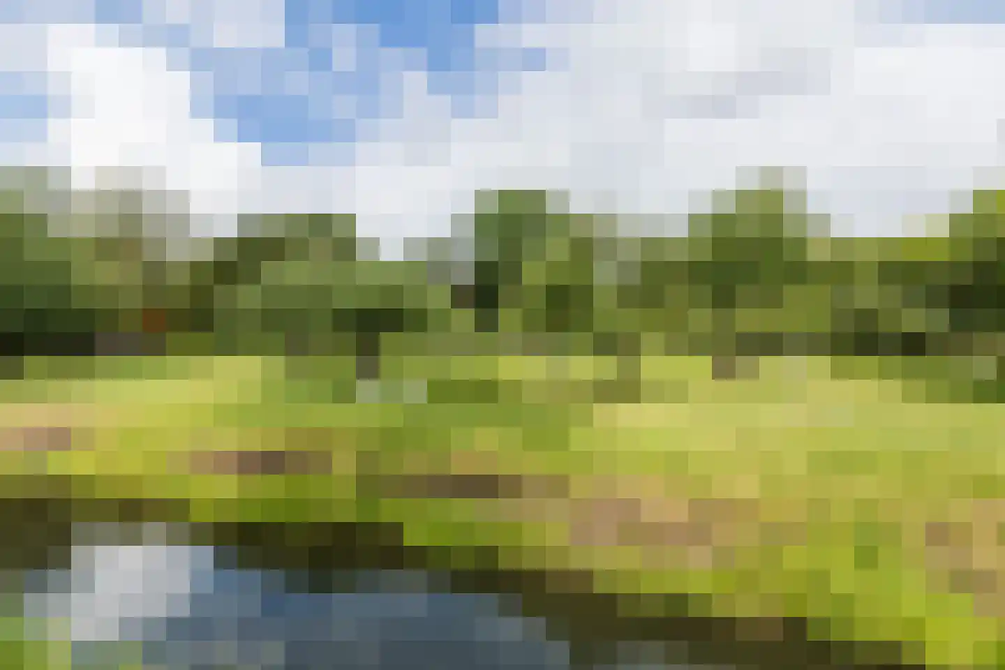 Tulpstraat 27 Culemborg thumbnail 59