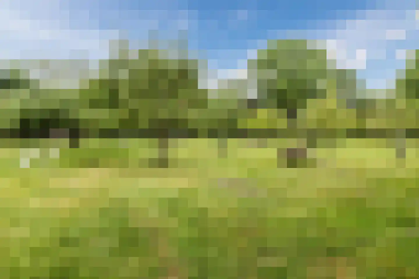 Tulpstraat 27 Culemborg thumbnail 60