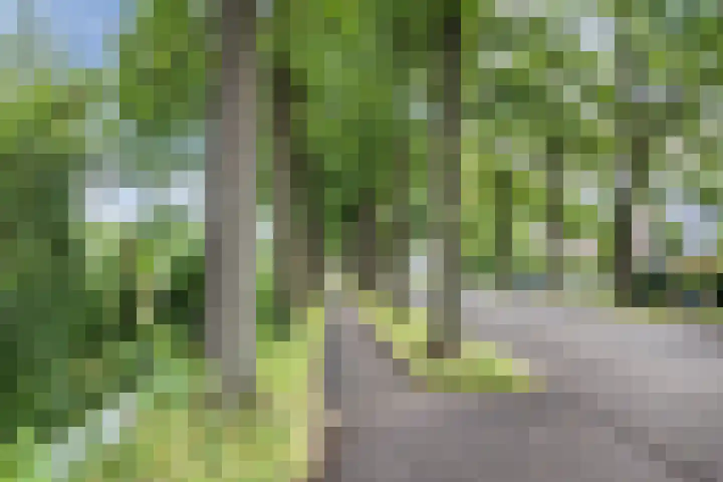 Tulpstraat 27 Culemborg thumbnail 61