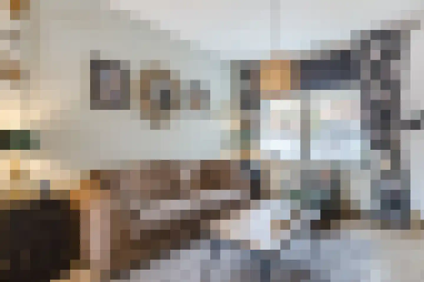 Tulpstraat 27 Culemborg thumbnail 9