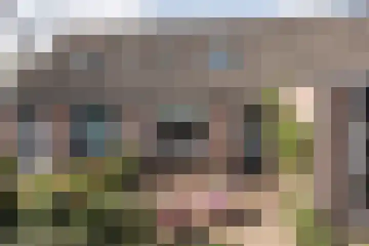 Tulpstraat 29 in Arnhem