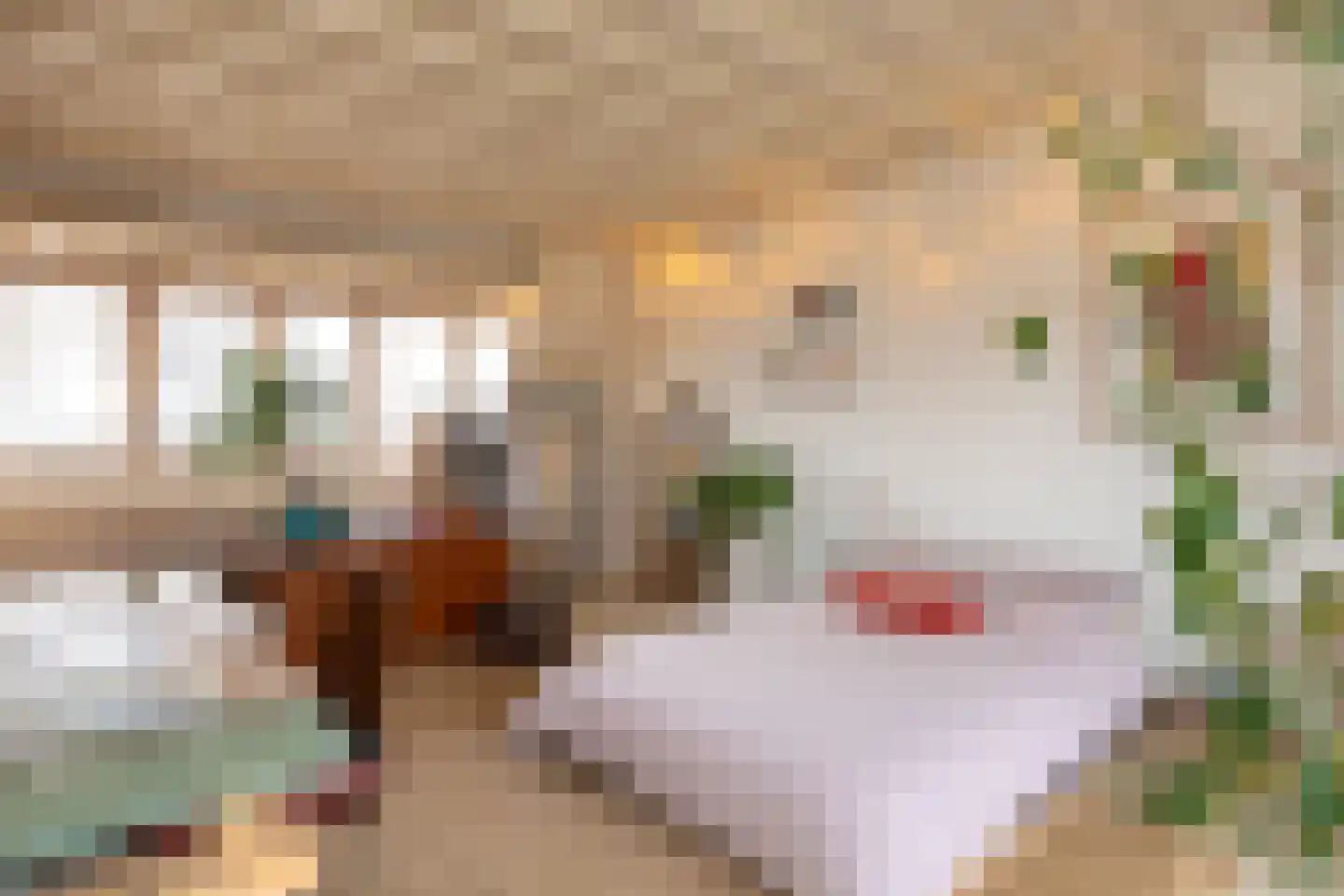 Tulpstraat 29 Hilversum thumbnail 27