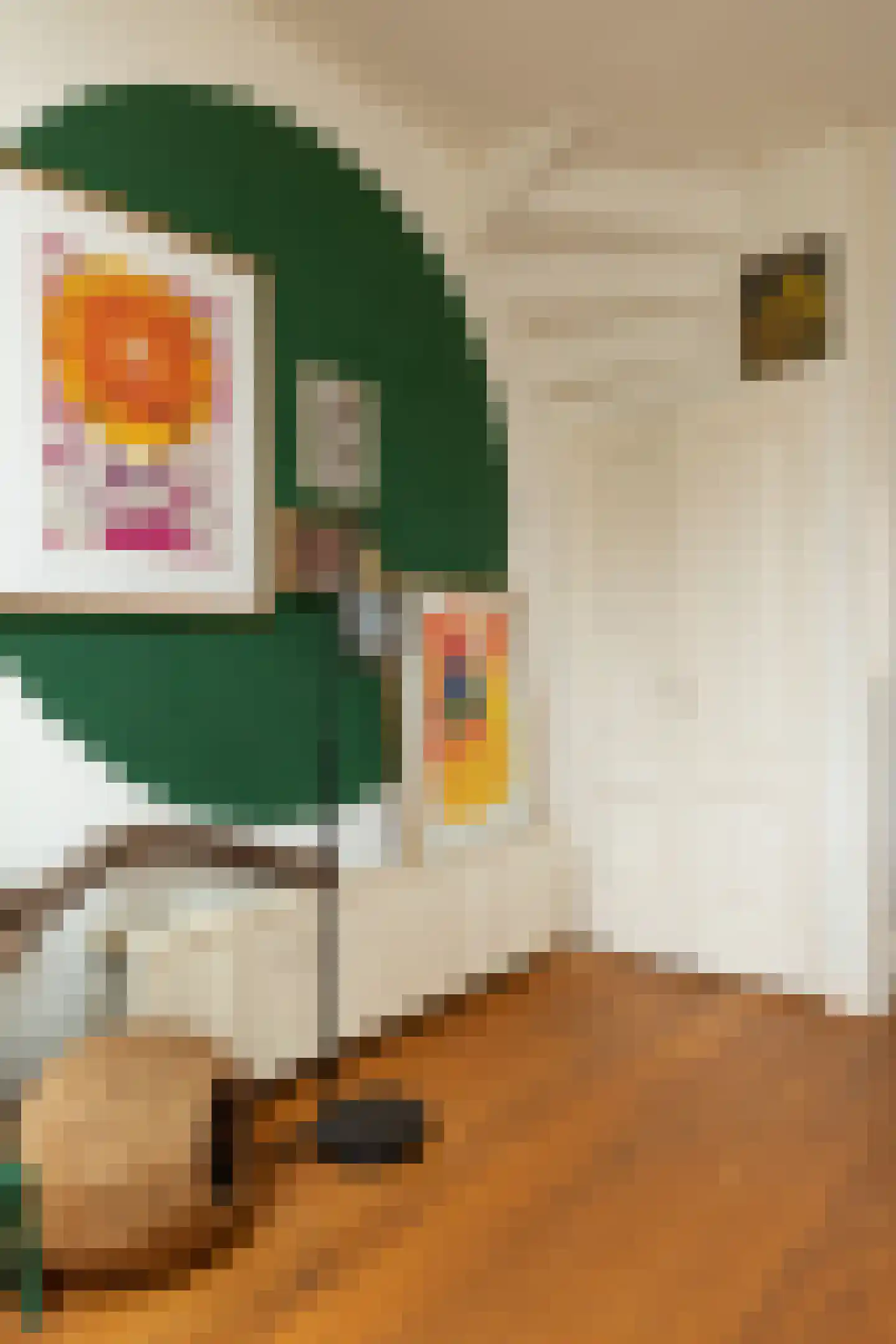 Tulpstraat 29 Hilversum thumbnail 8
