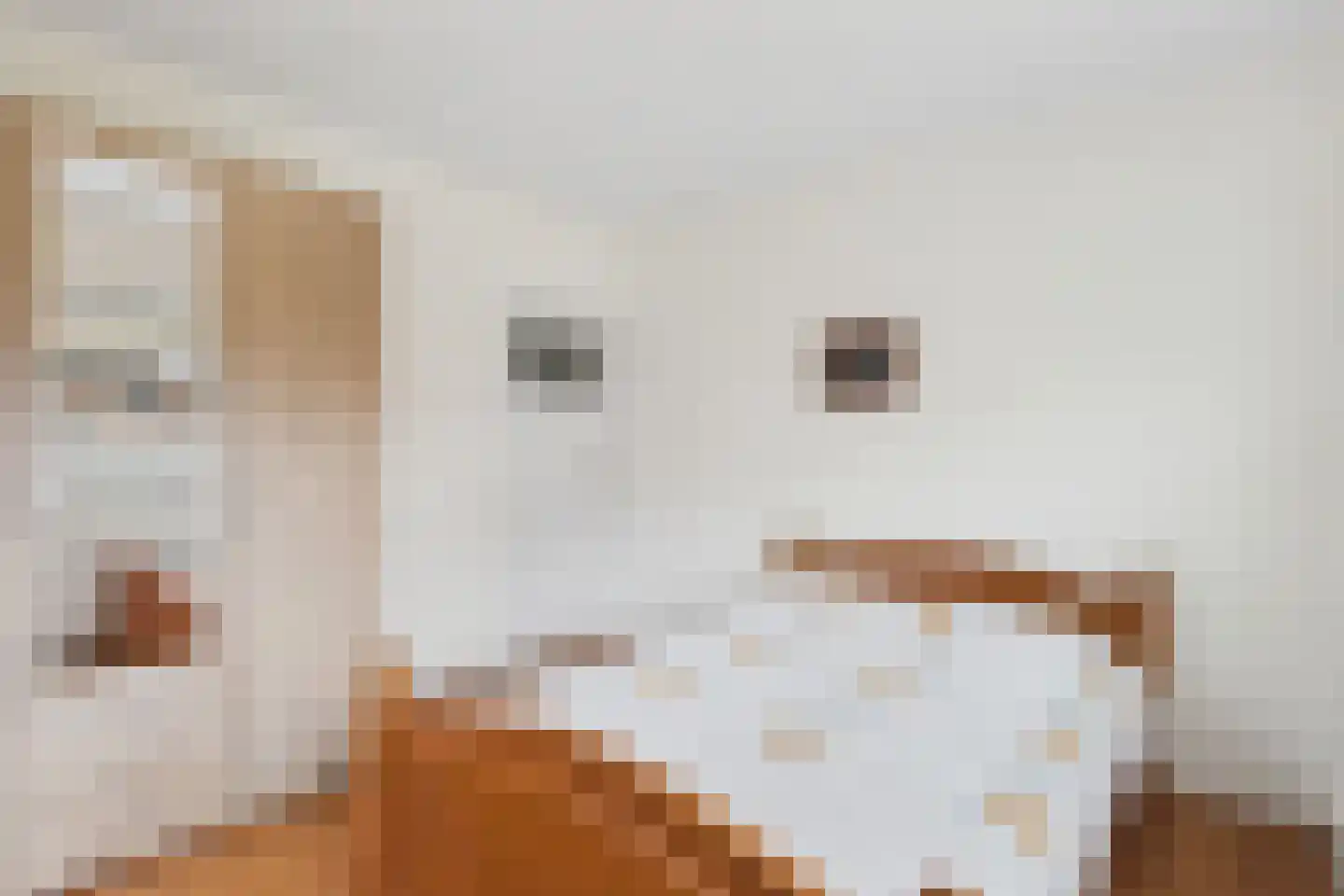 Tulpstraat 3 Kloosterzande thumbnail 14