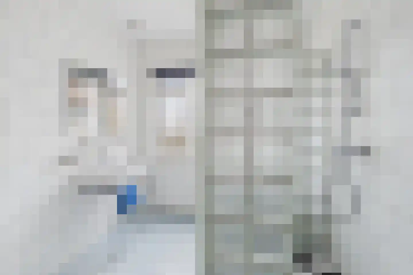 Tulpstraat 3 Kloosterzande thumbnail 15