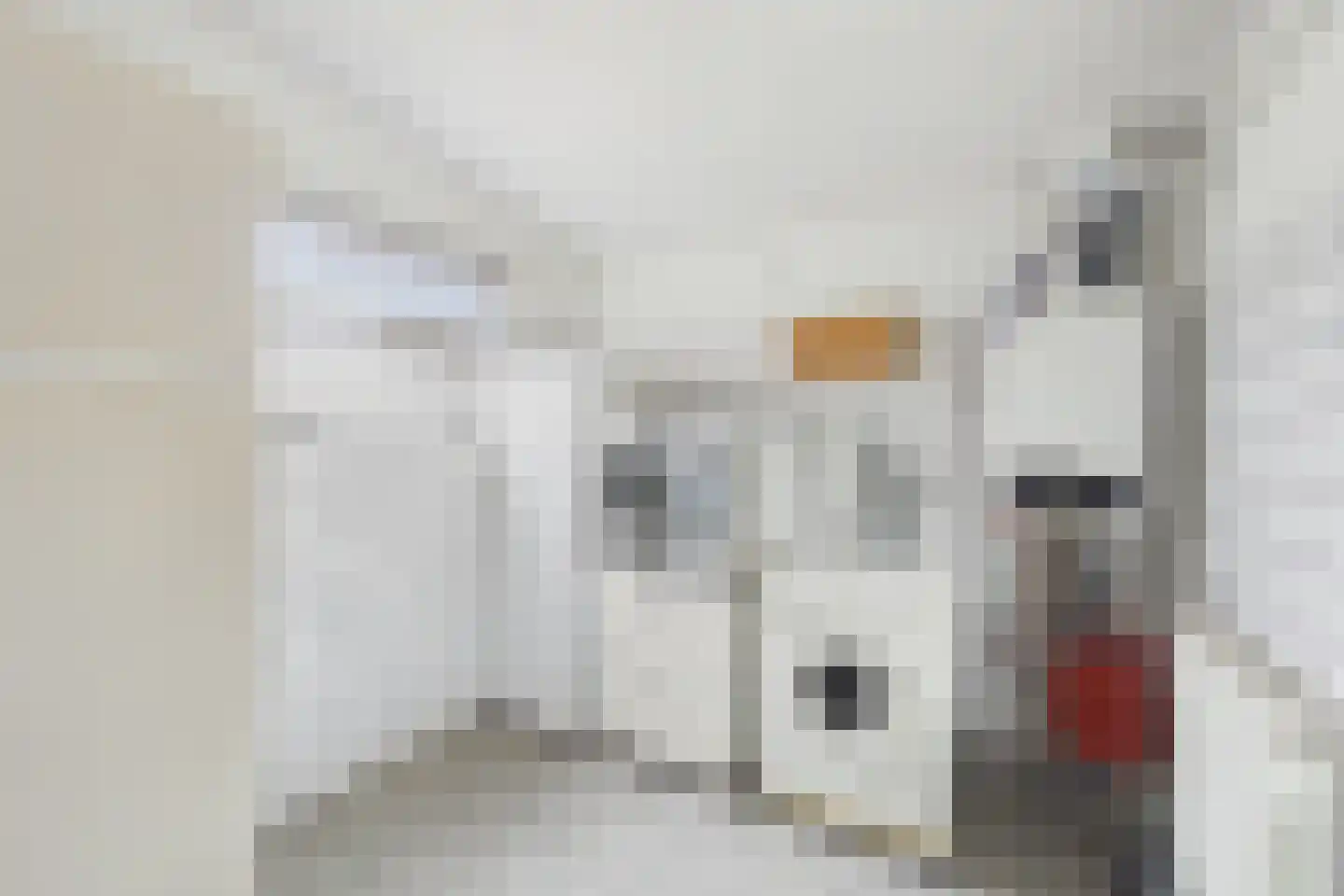 Tulpstraat 3 Kloosterzande thumbnail 21