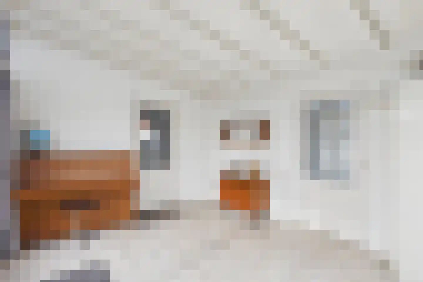 Tulpstraat 3 Kloosterzande thumbnail 23