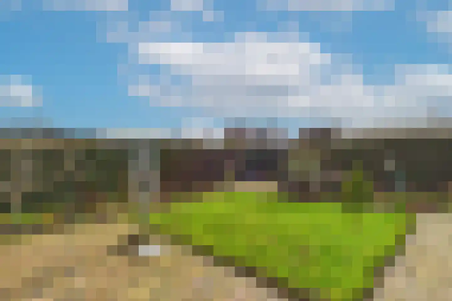 Tulpstraat 3 Kloosterzande thumbnail 25
