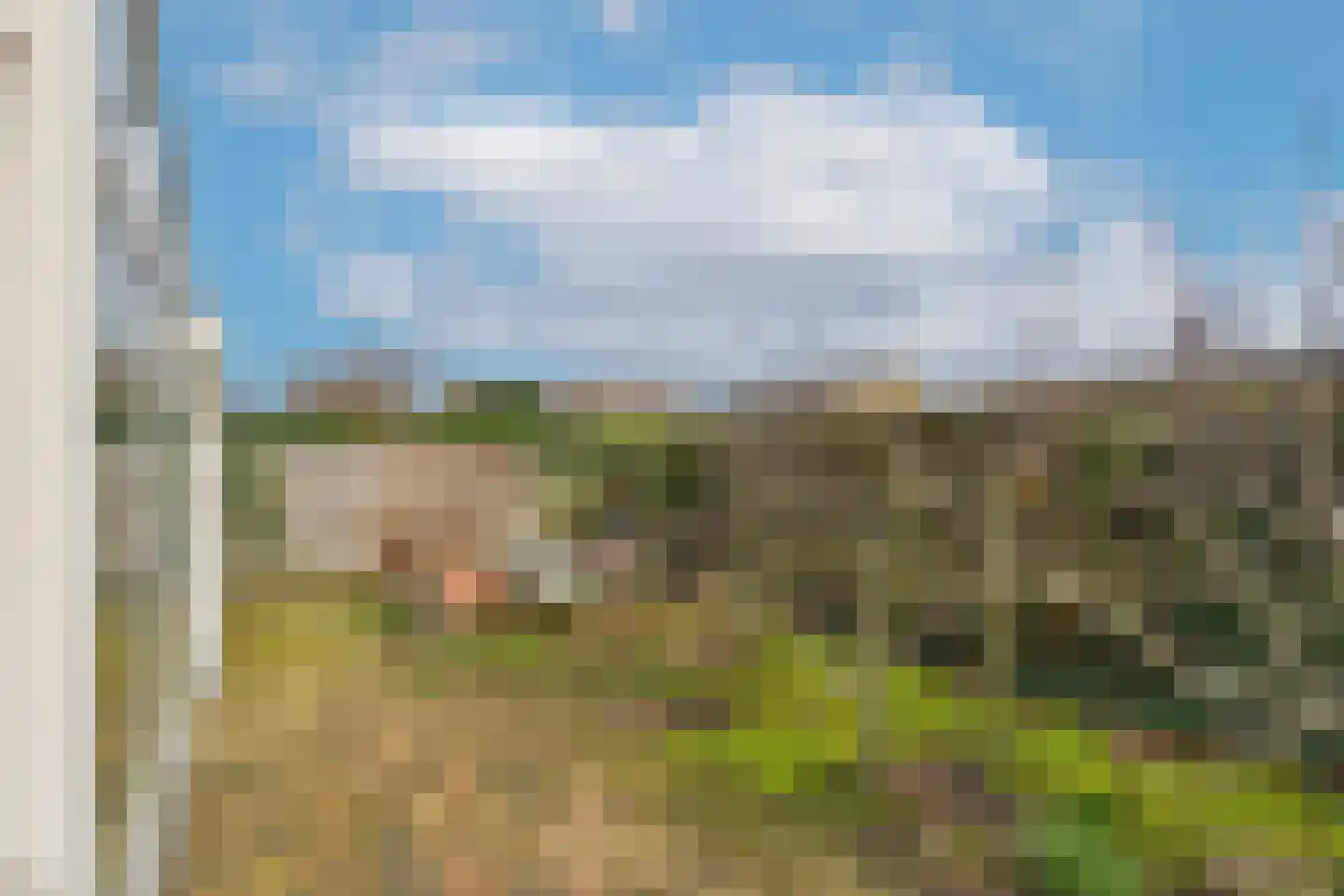 Tulpstraat 3 Kloosterzande thumbnail 26