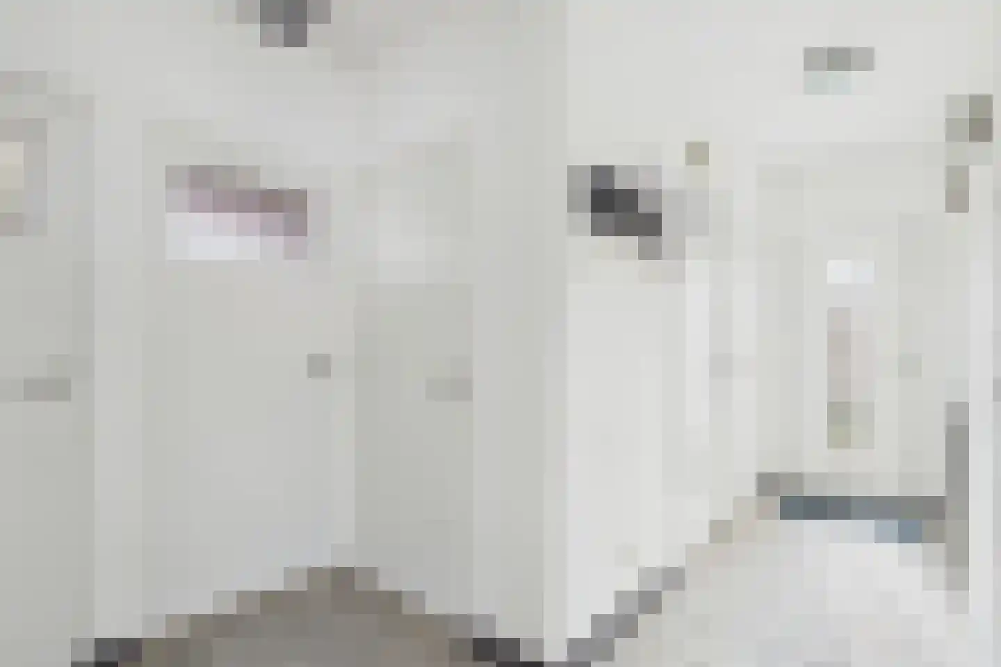 Tulpstraat 3 Kloosterzande thumbnail 9