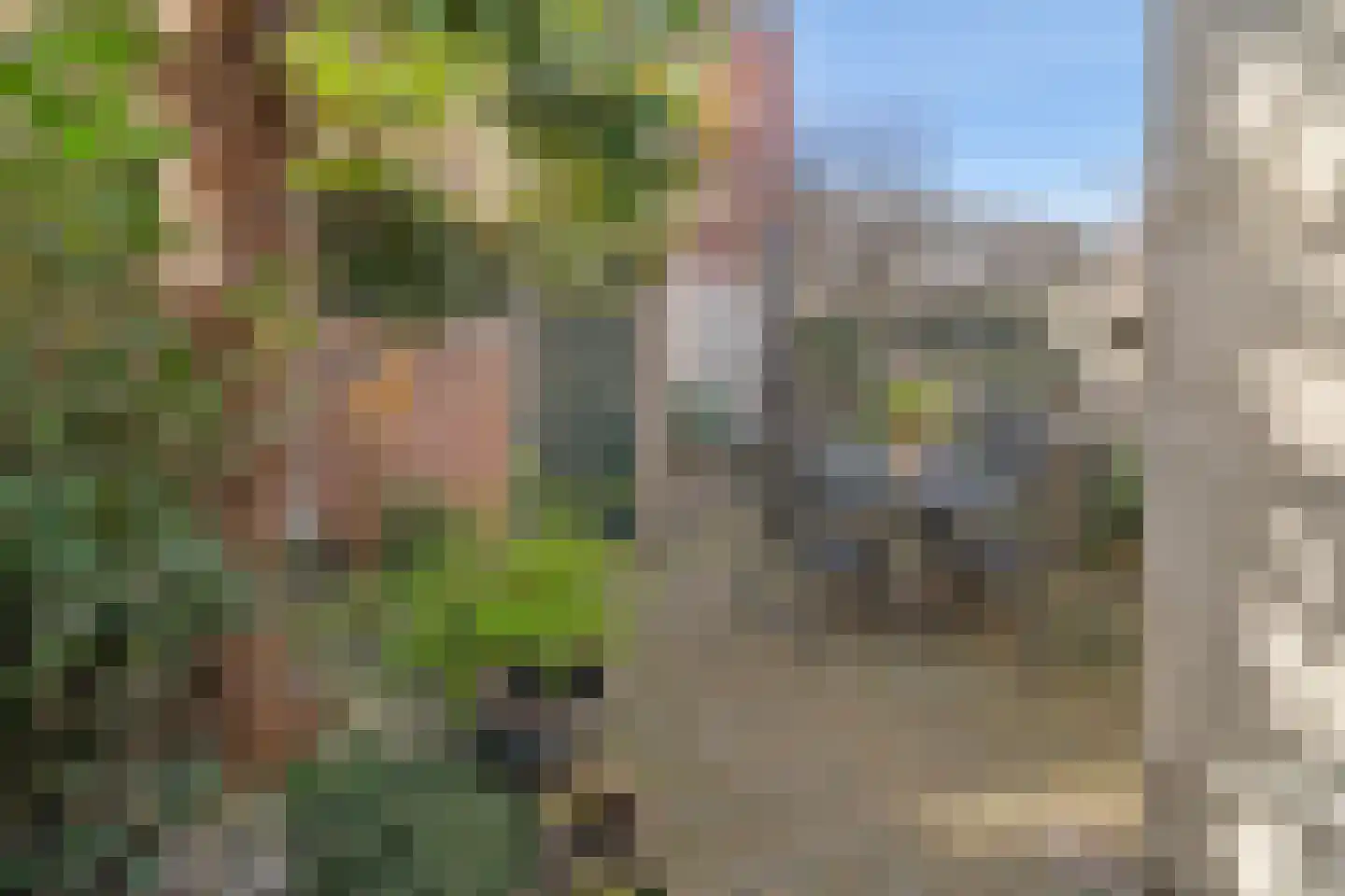 Tulpstraat 3 Roosendaal thumbnail 30