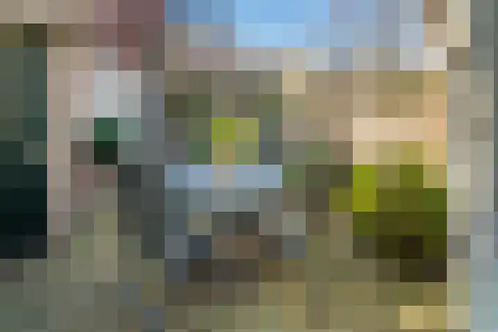 Tulpstraat 3 Roosendaal thumbnail 31