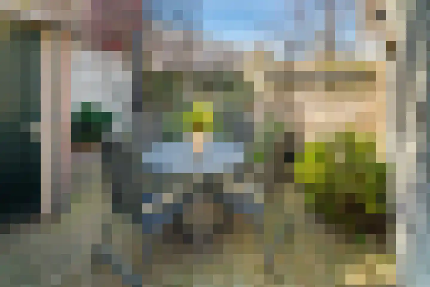 Tulpstraat 3 Roosendaal thumbnail 31