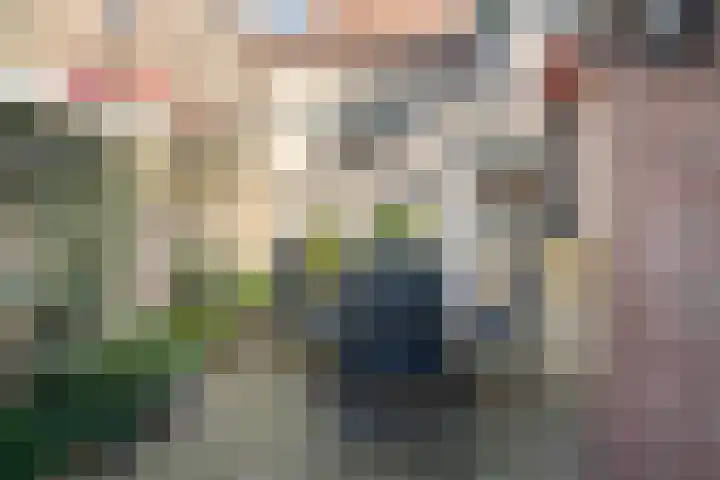 Tulpstraat 3 Roosendaal thumbnail 32
