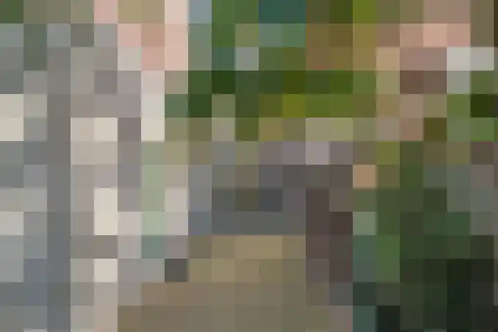 Tulpstraat 3 Roosendaal thumbnail 33
