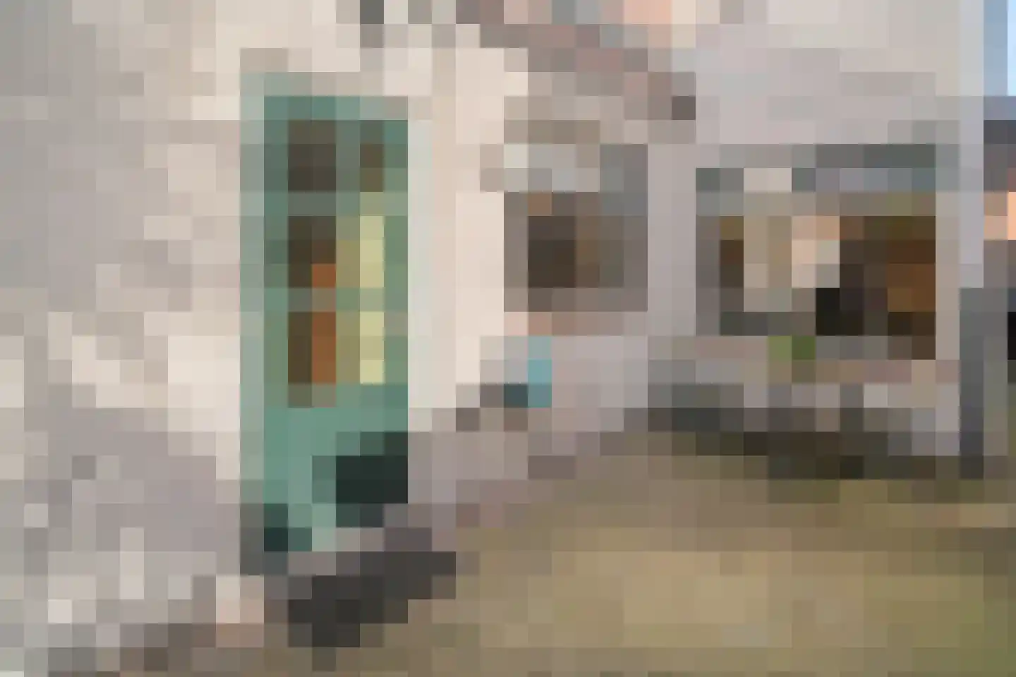 Tulpstraat 3 Roosendaal thumbnail 34