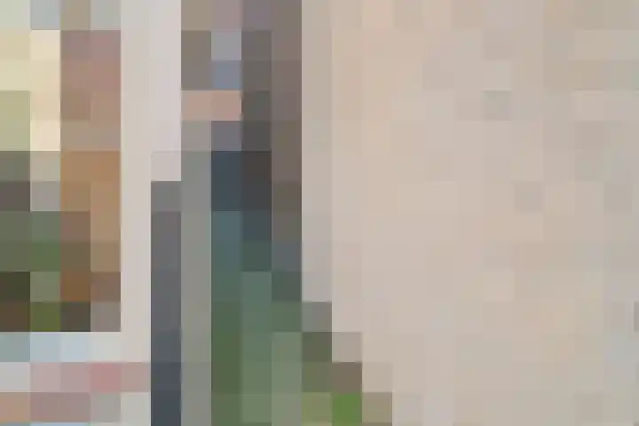 Tulpstraat 3 Roosendaal thumbnail 35