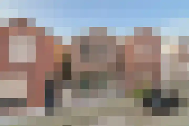 Tulpstraat 3 Roosendaal thumbnail 37
