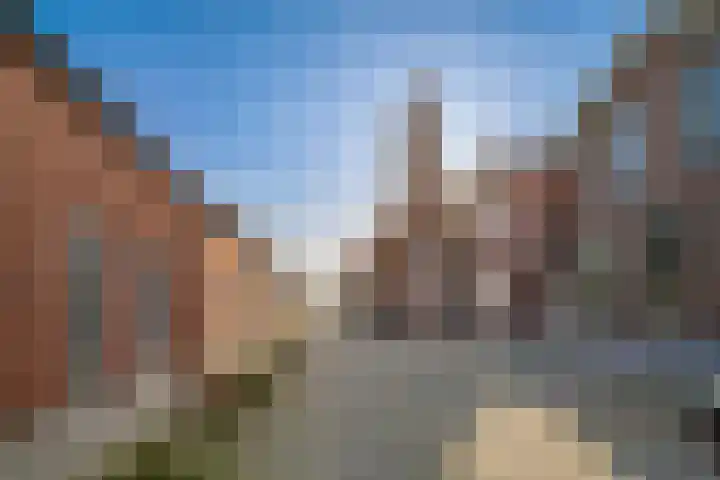 Tulpstraat 3 Roosendaal thumbnail 41