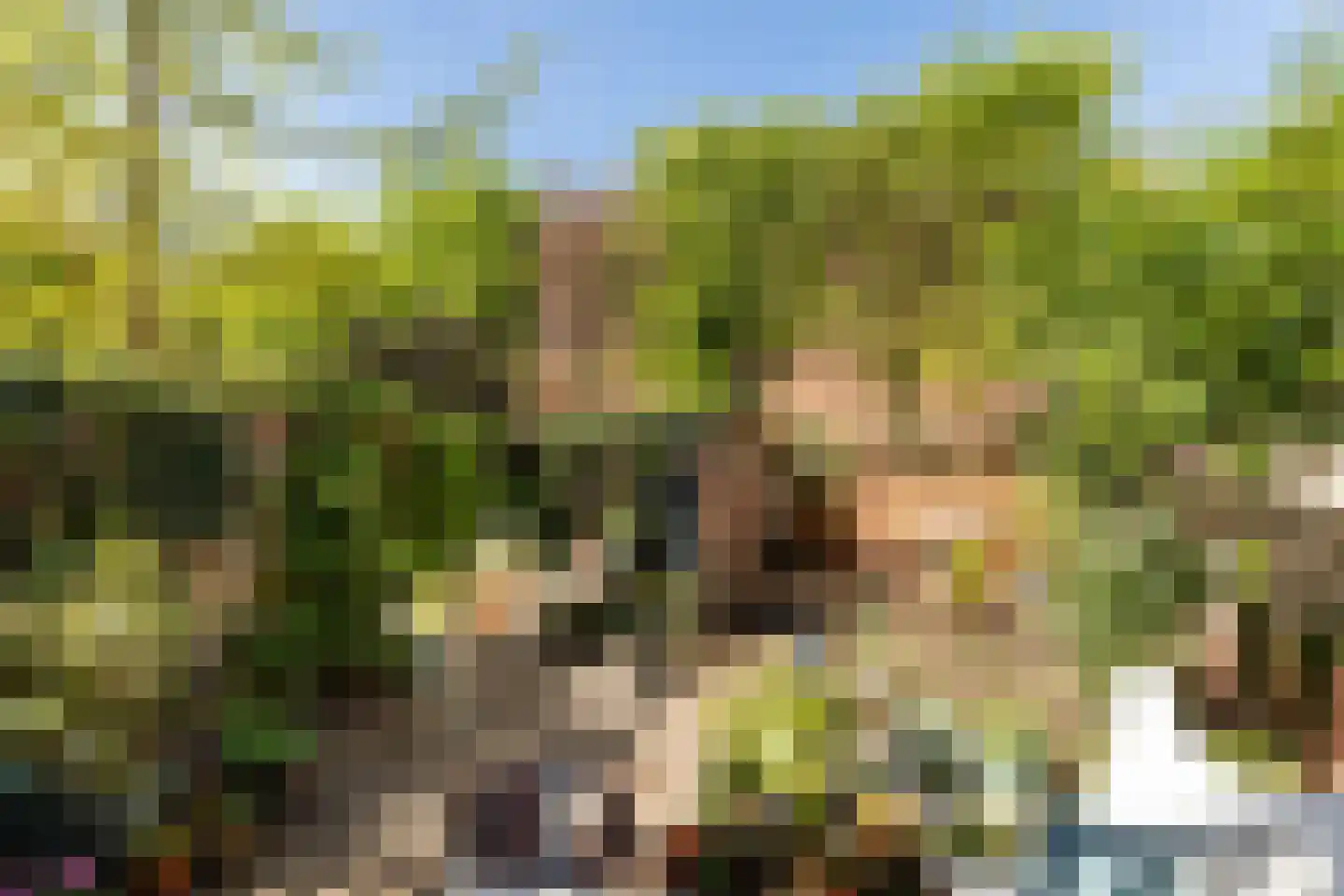 Tulpstraat 30 Hilversum thumbnail 31