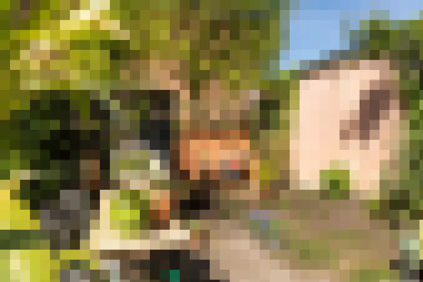 Tulpstraat 30 Hilversum thumbnail 32