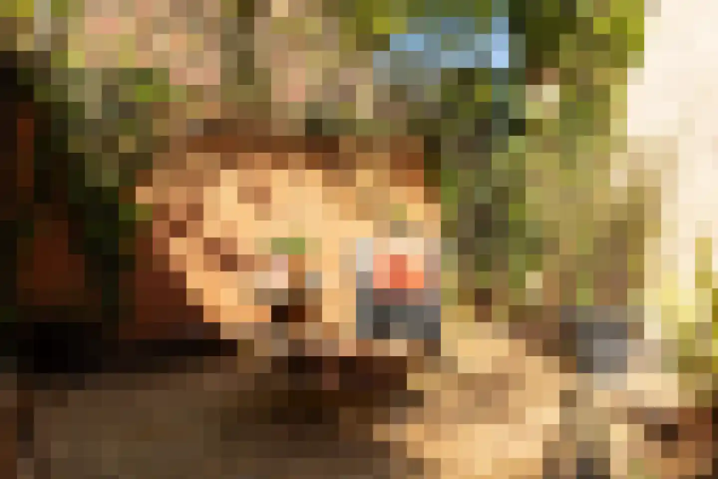 Tulpstraat 30 Hilversum thumbnail 33