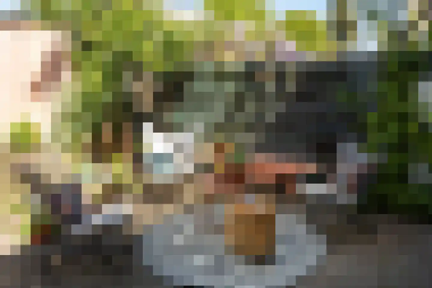 Tulpstraat 30 Hilversum thumbnail 34