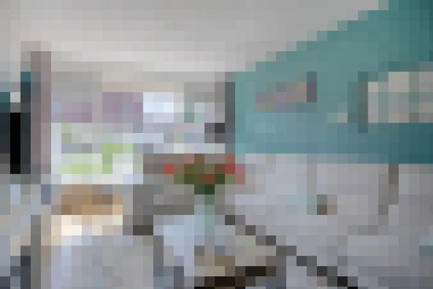 Tulpstraat 30 Winschoten thumbnail 10