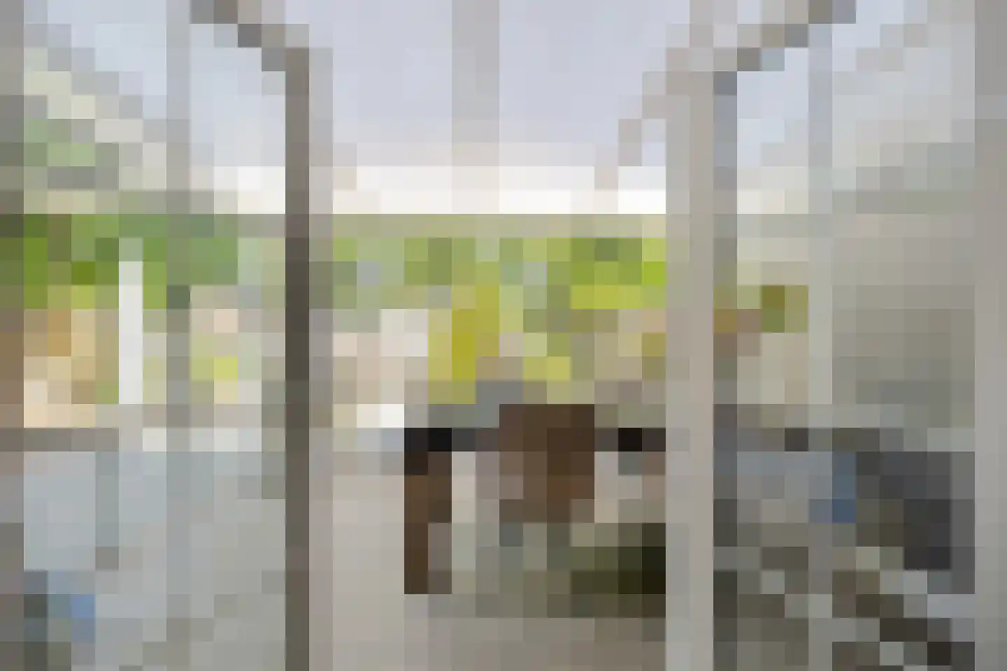 Tulpstraat 30 Winschoten thumbnail 15