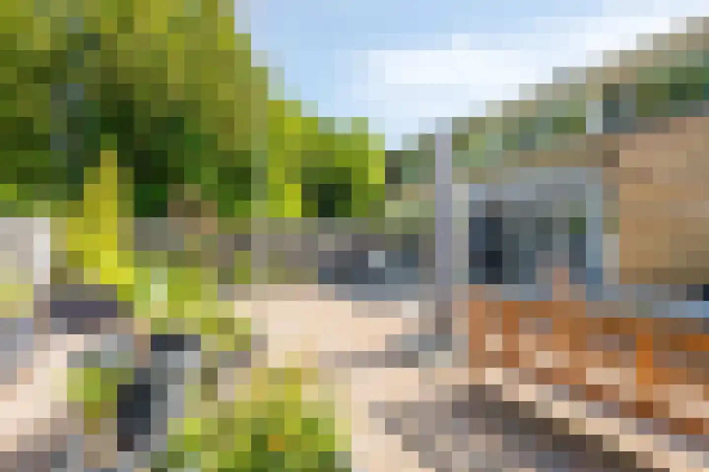 Tulpstraat 30 Winschoten thumbnail 26