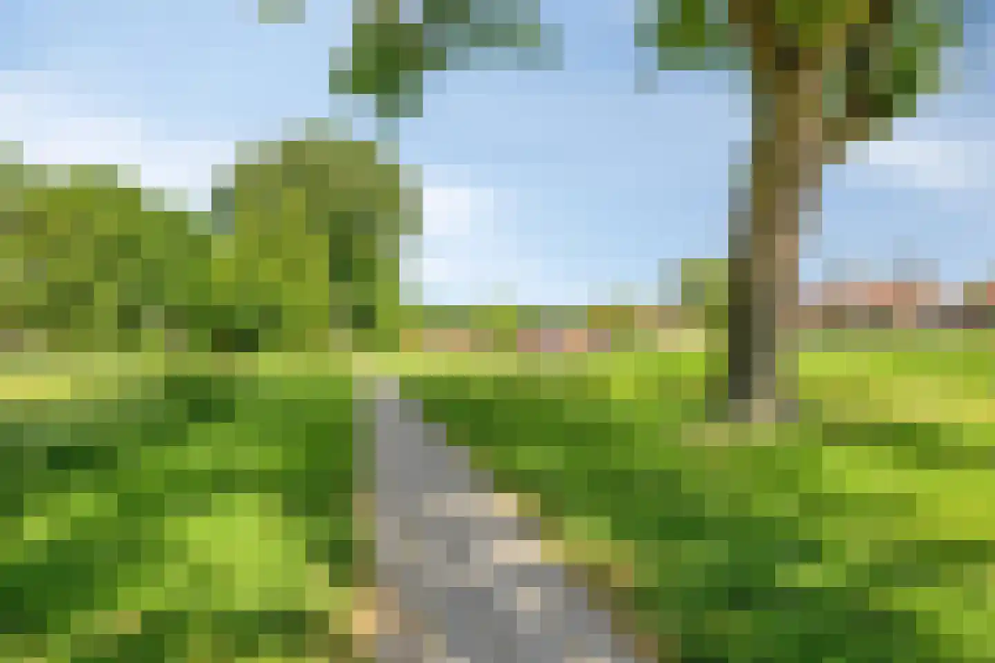 Tulpstraat 30 Winschoten thumbnail 37