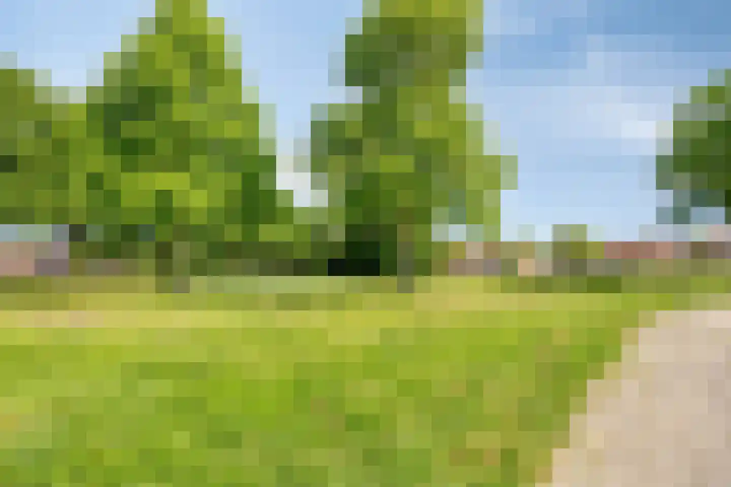 Tulpstraat 30 Winschoten thumbnail 4