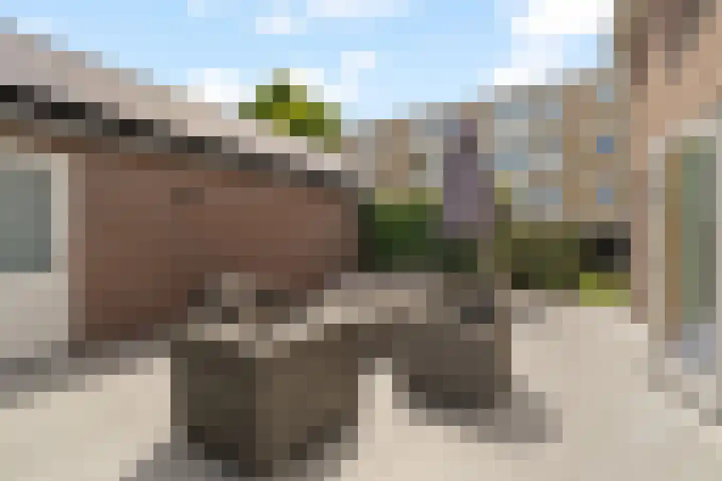 Tulpstraat 31 Noordwijk thumbnail 18
