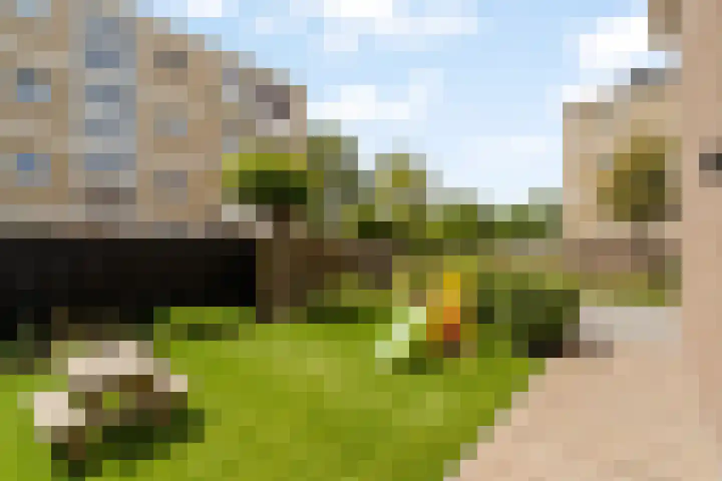 Tulpstraat 31 Noordwijk thumbnail 19