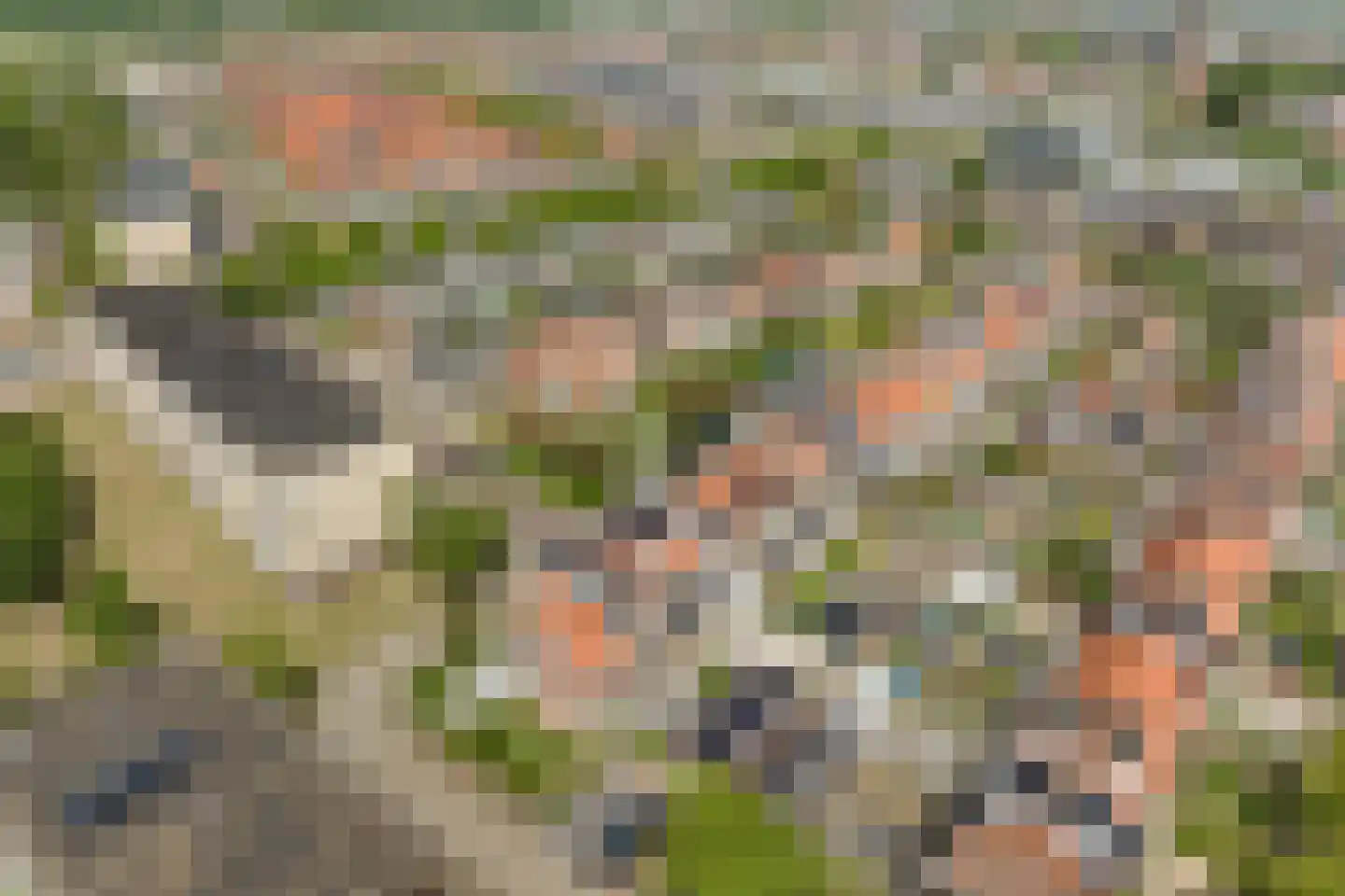Tulpstraat 31 Noordwijk thumbnail 37