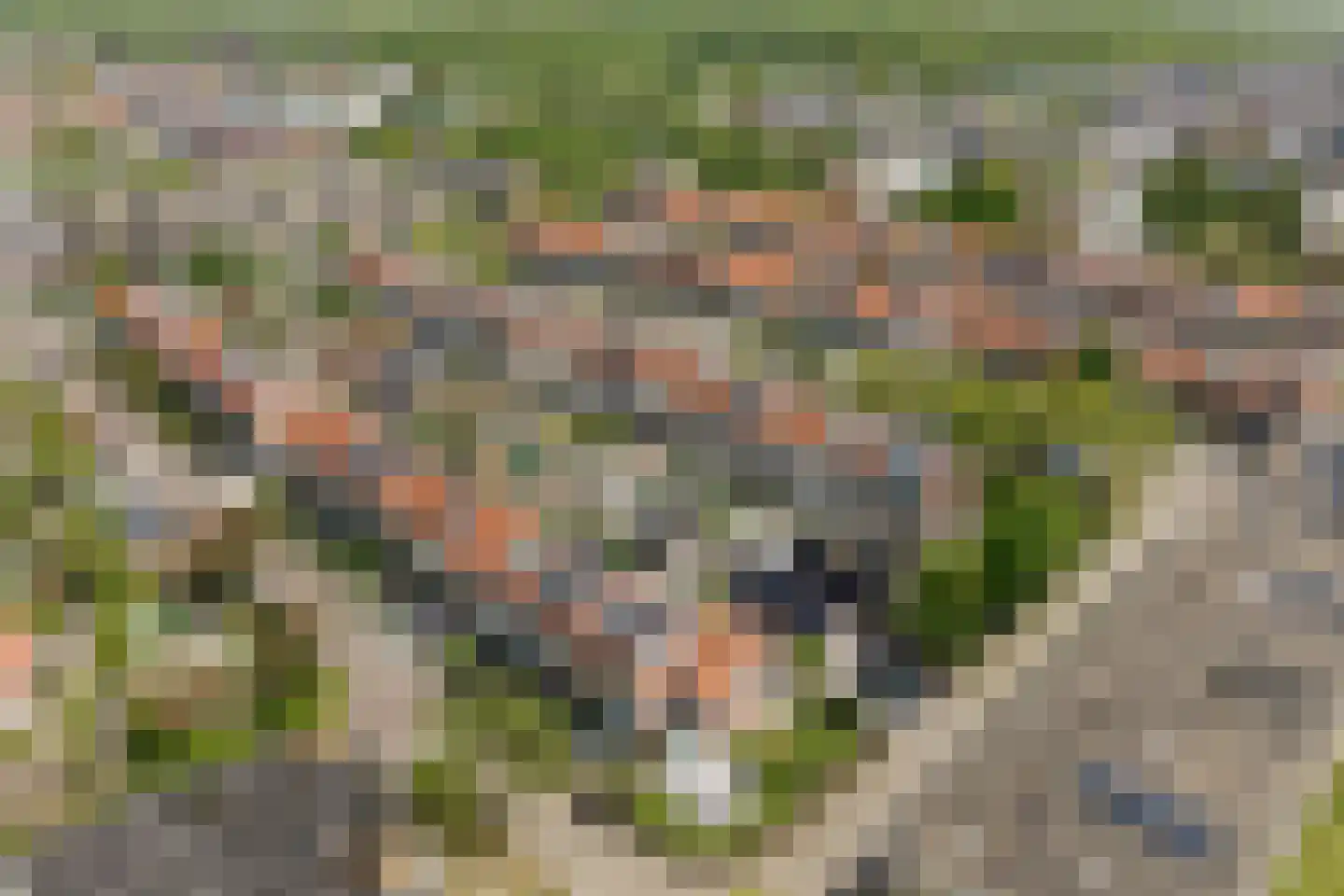 Tulpstraat 31 Noordwijk thumbnail 38