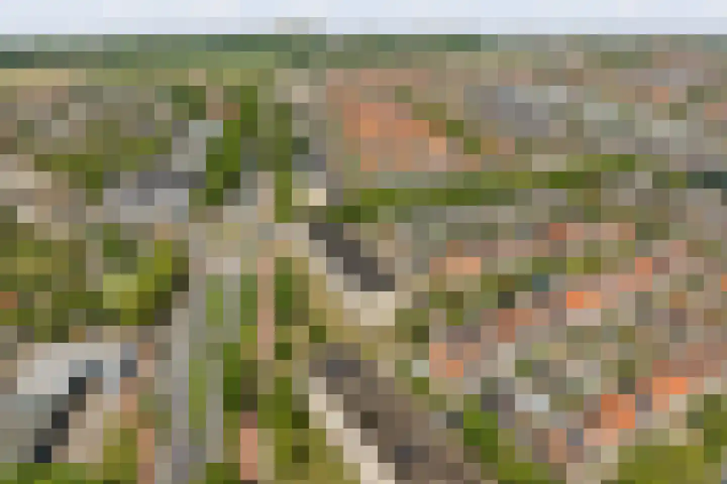 Tulpstraat 31 Noordwijk thumbnail 39