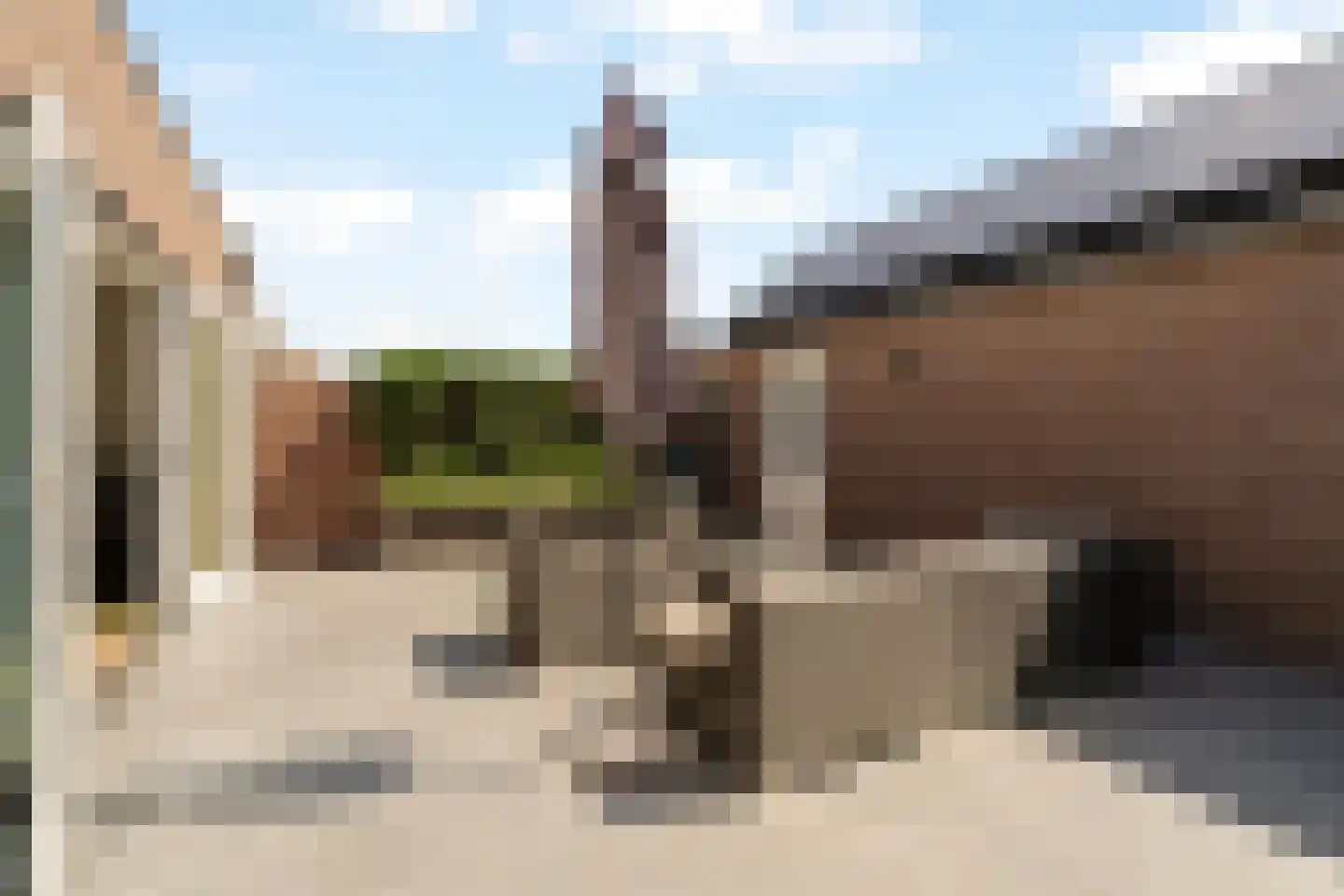 Tulpstraat 31 Noordwijk thumbnail 5